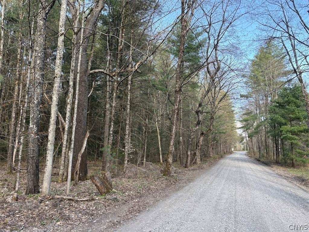  Stormy Hill Road - Photo 1