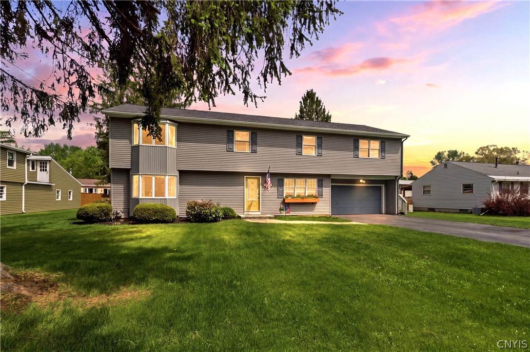 6401 Pillmore Drive - Photo 1