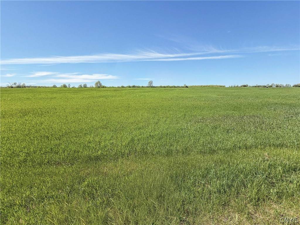 Lot #1 Three Mile Pt Road - Photo 1