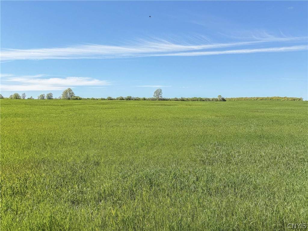 Lot #2 Three Mile Pt Road - Photo 1