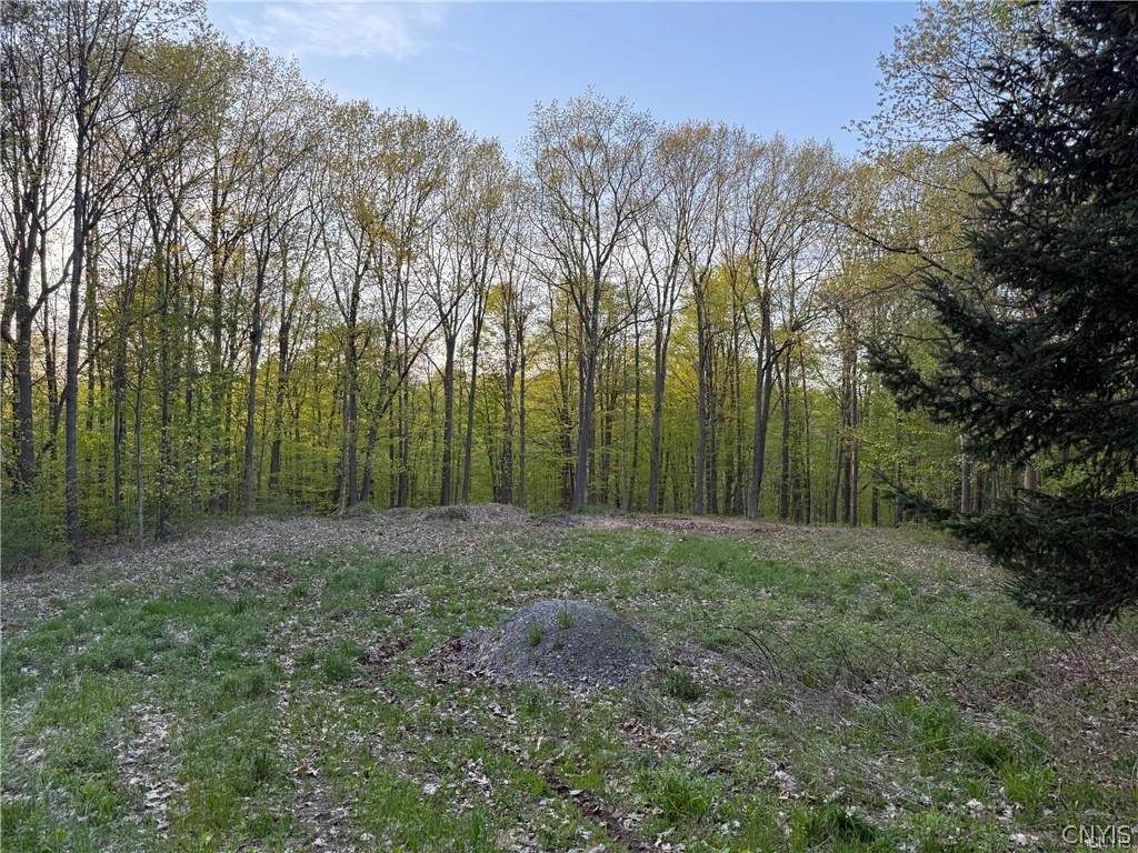 15189 Valley Drive - Photo 1