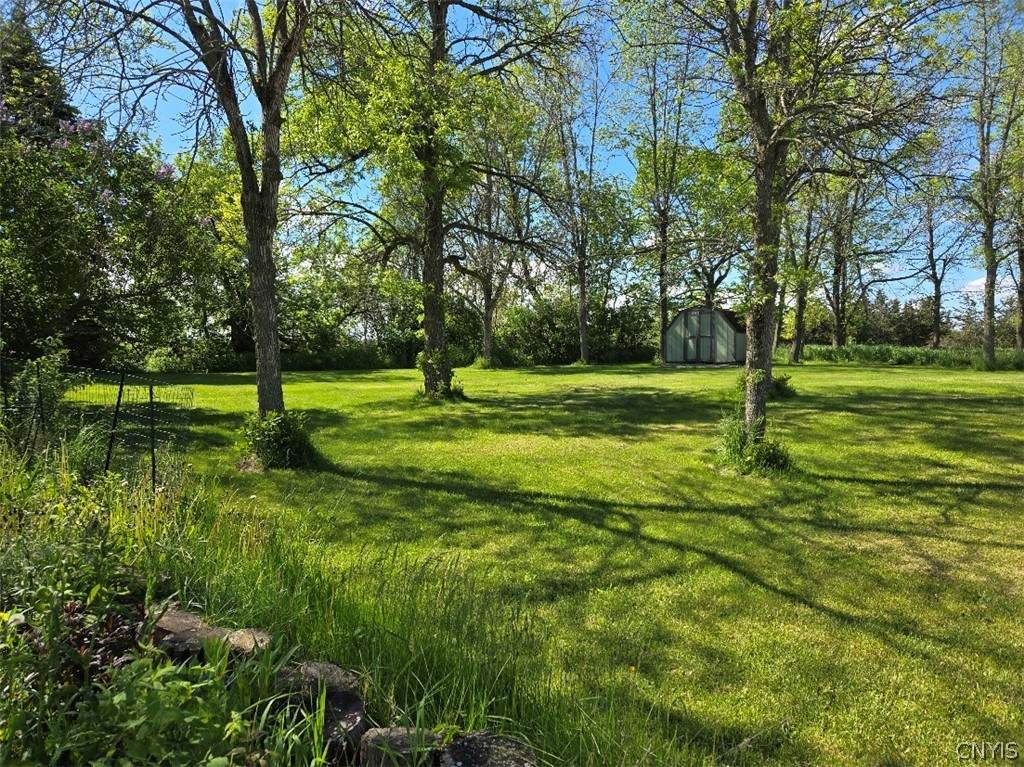 34699 Bubba Lane - Photo 1