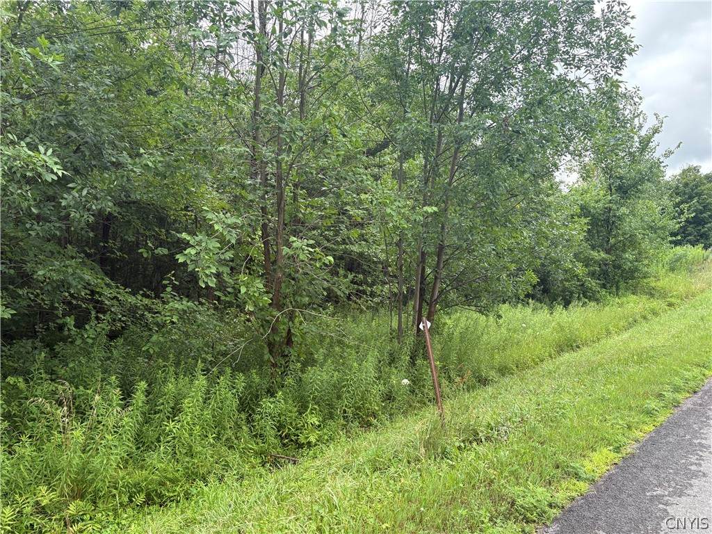  Red School House Road - Photo 1