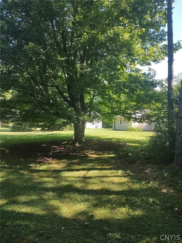 https://bt-photos.global.ssl.fastly.net/rochester/orig_boomver_1_S1703696-2.jpg