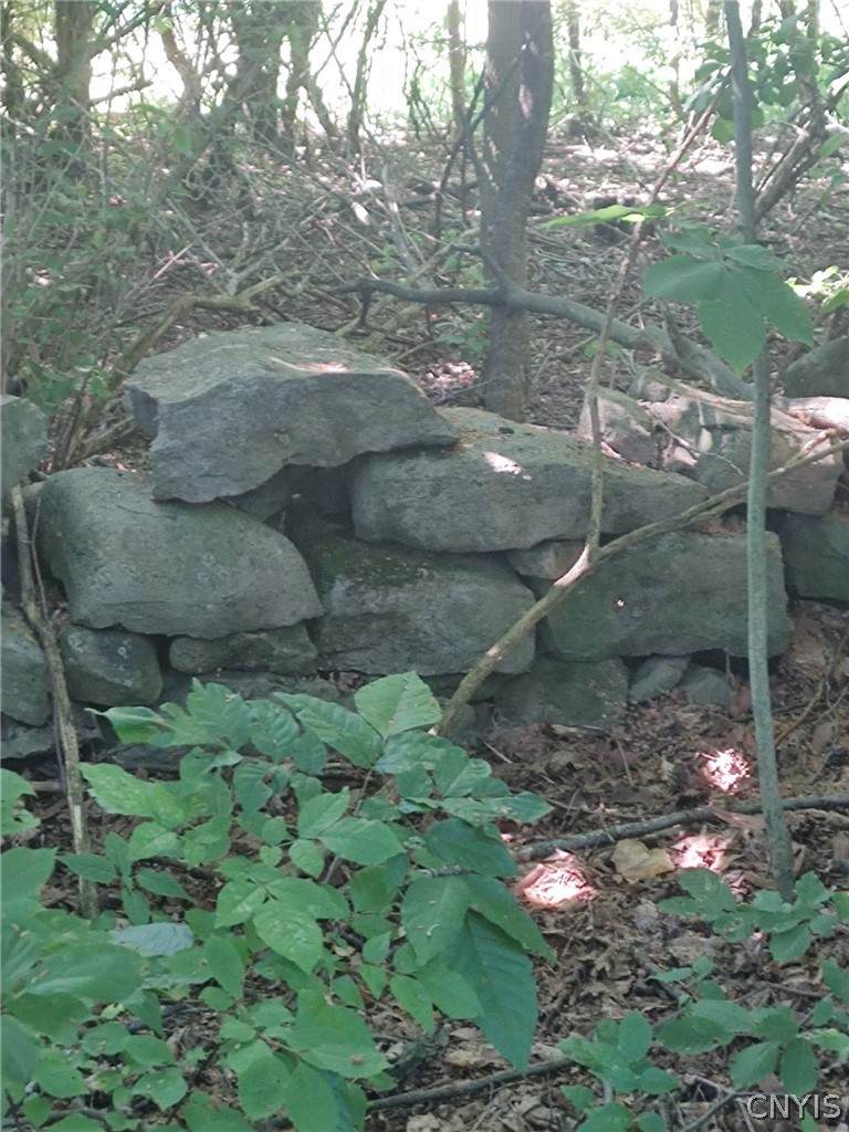 https://bt-photos.global.ssl.fastly.net/rochester/orig_boomver_1_S1703696-2.jpg
