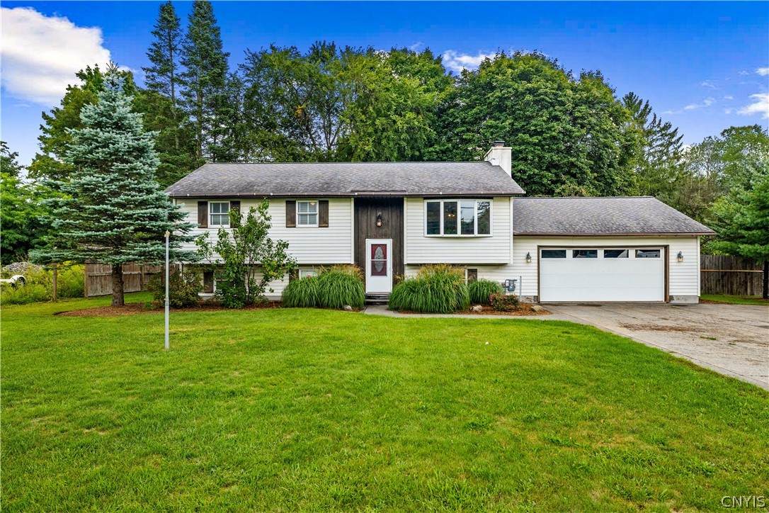 9020 Turin Road - Photo 1