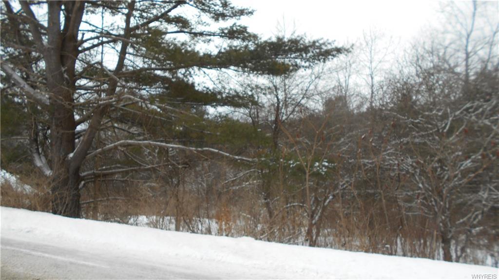 0 Peavy Road - Photo 1