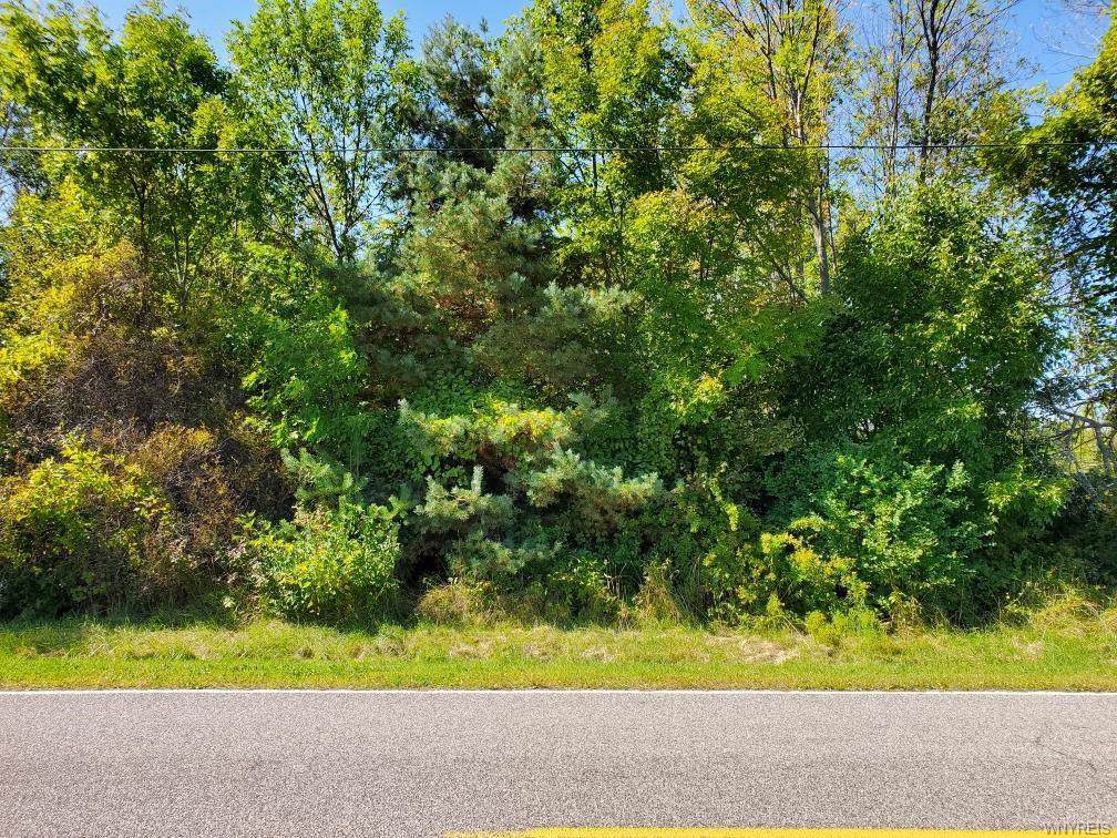 00 Dickersonville Road - Photo 1