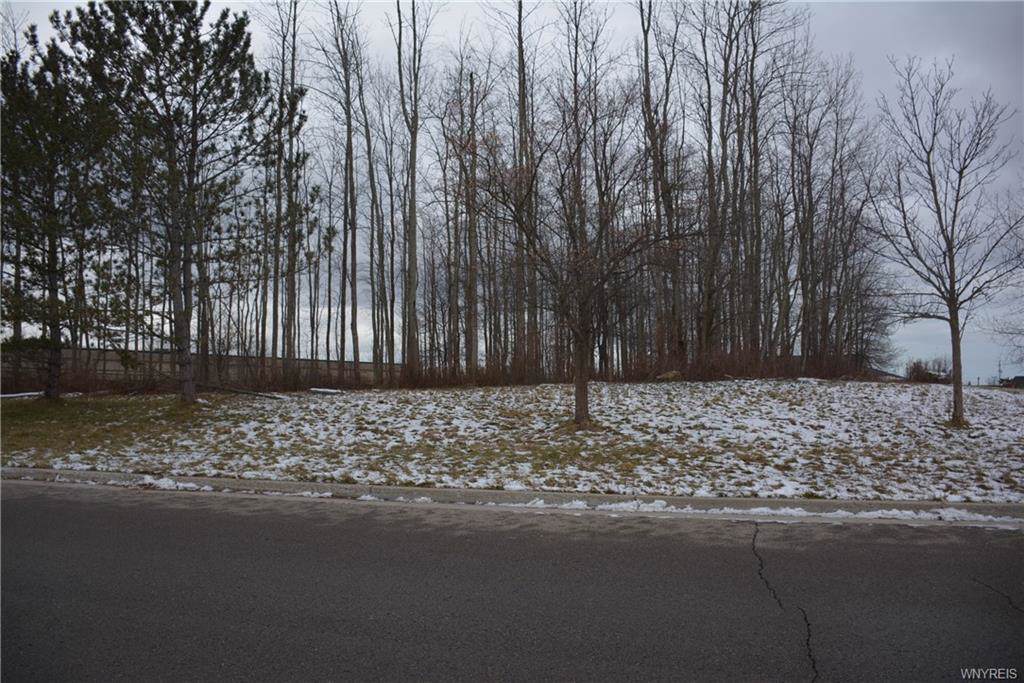 VL 6 Sterling Dr Parkway - Photo 1