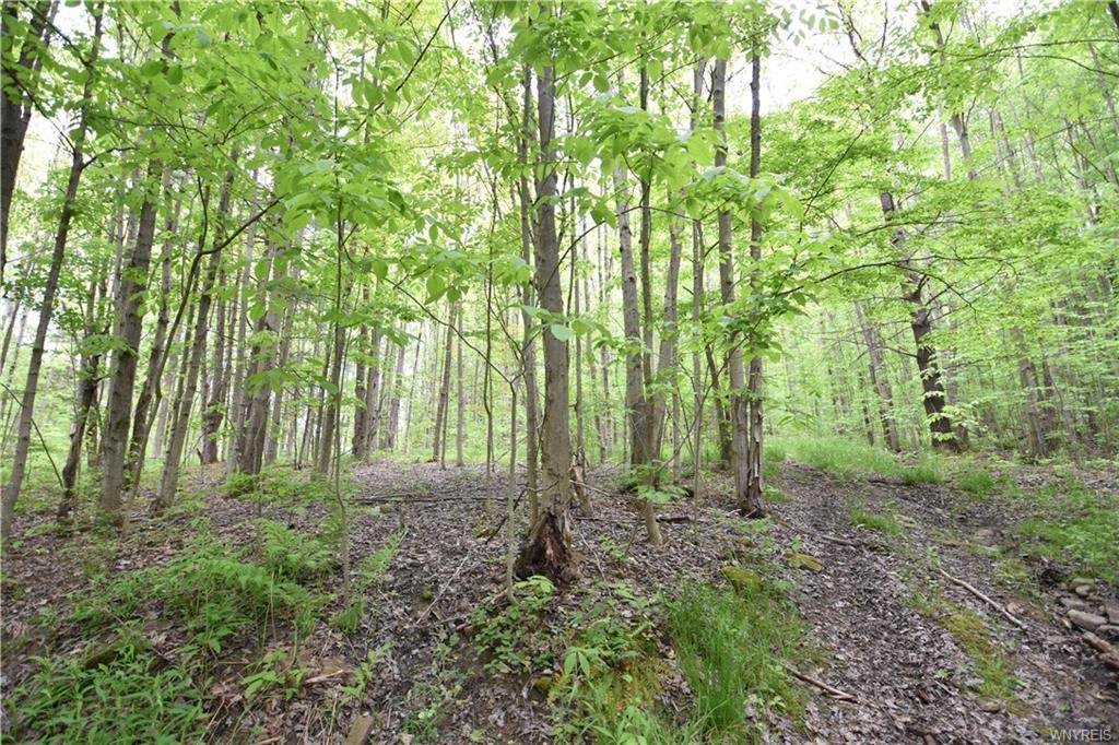 8060 County Road 49 - Photo 1