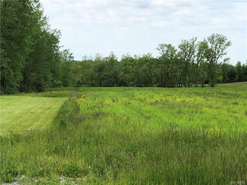 V/L Schwartz Road - Photo 1