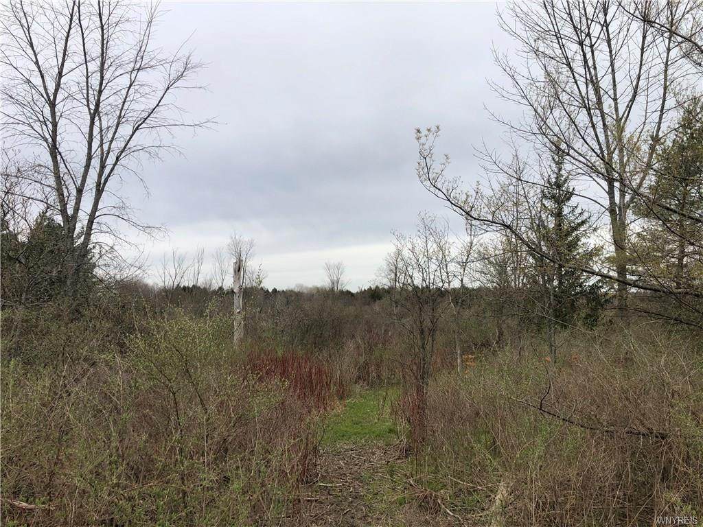 0 Stinson Road - Photo 1