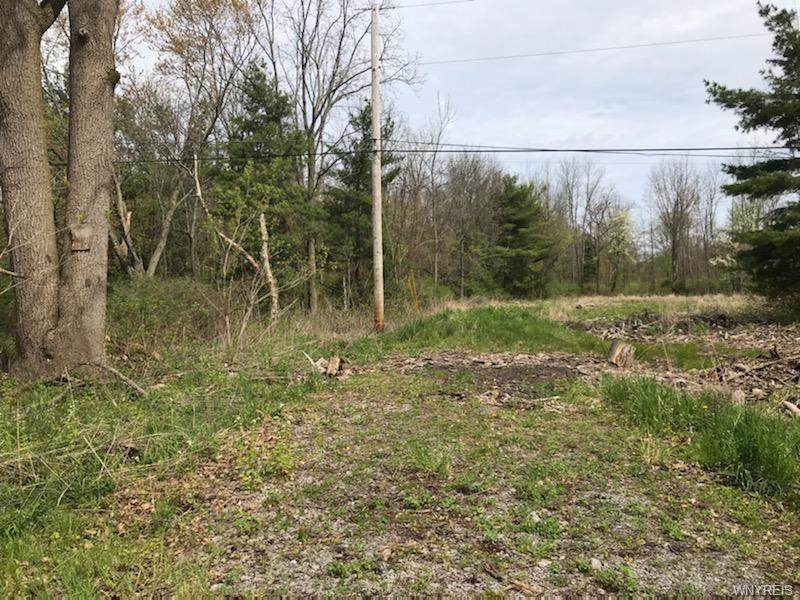 0 Old Creek Road - Photo 1