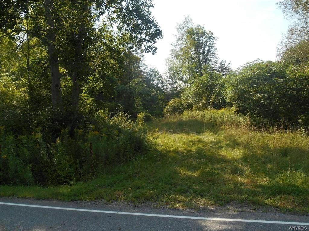 VL Holland Road - Photo 1