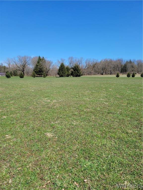 1224 Grover Road - Photo 1