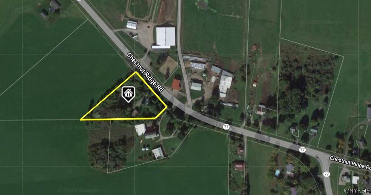 9056 Chestnut Ridge Road - Photo 1