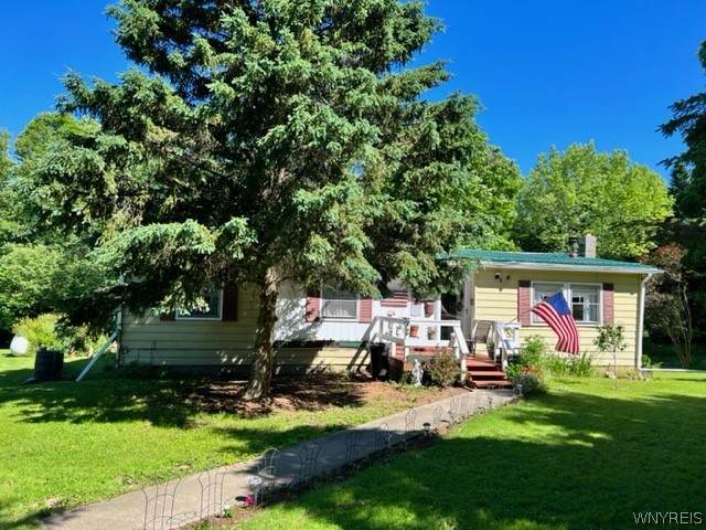 10270 Pleasant Valley Road - Photo 1