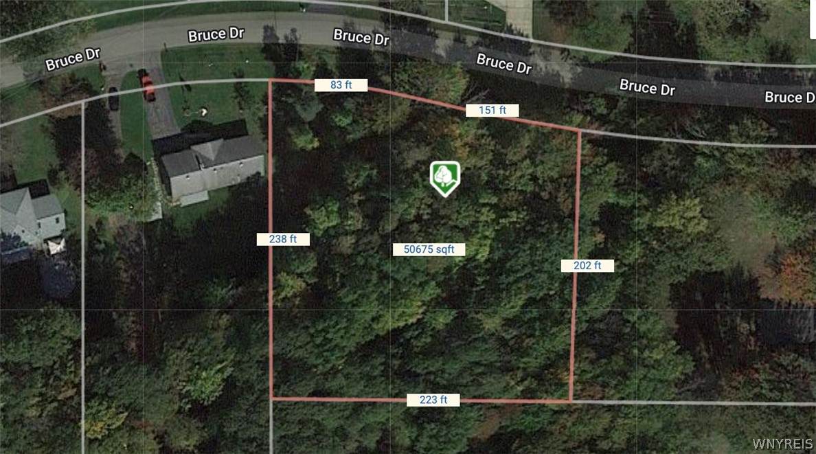 VL Bruce Drive - Photo 1