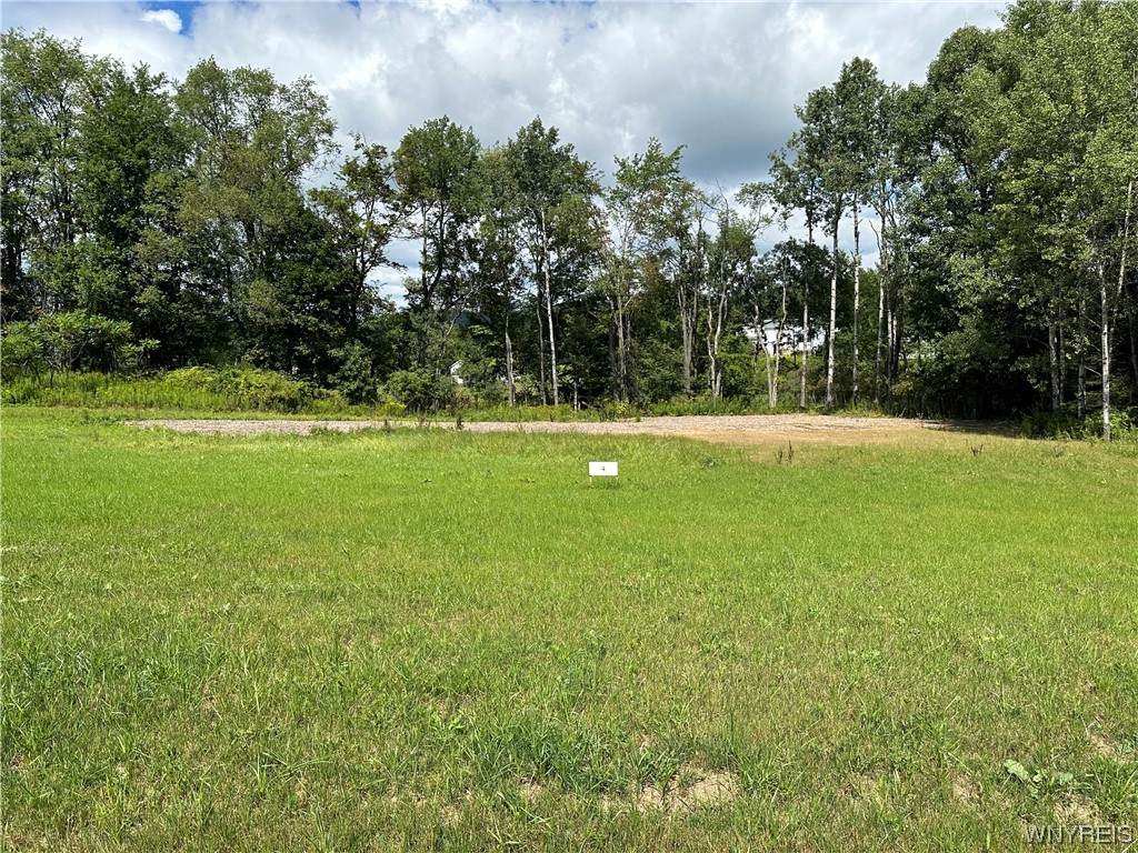 Lot 4 Tanglewood Development - Photo 1