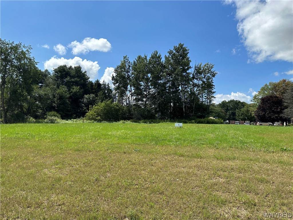 Lot 5 Tanglewood Development - Photo 1