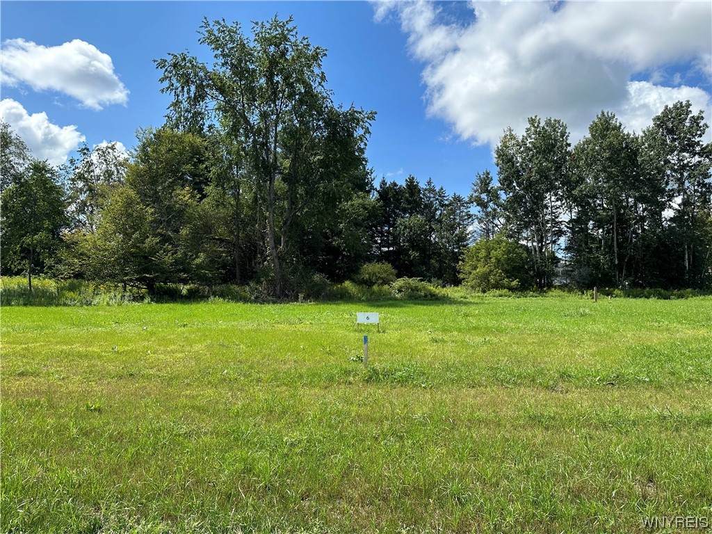 Lot 7 Tanglewood Development - Photo 1