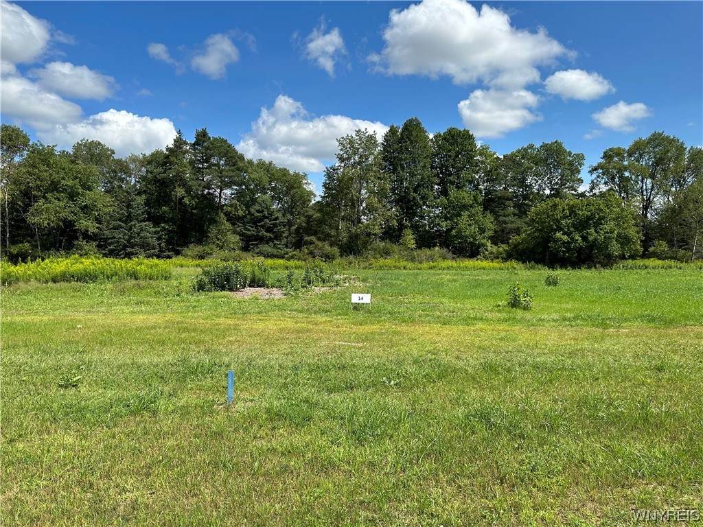 Lot 13 Tanglewood Development - Photo 1