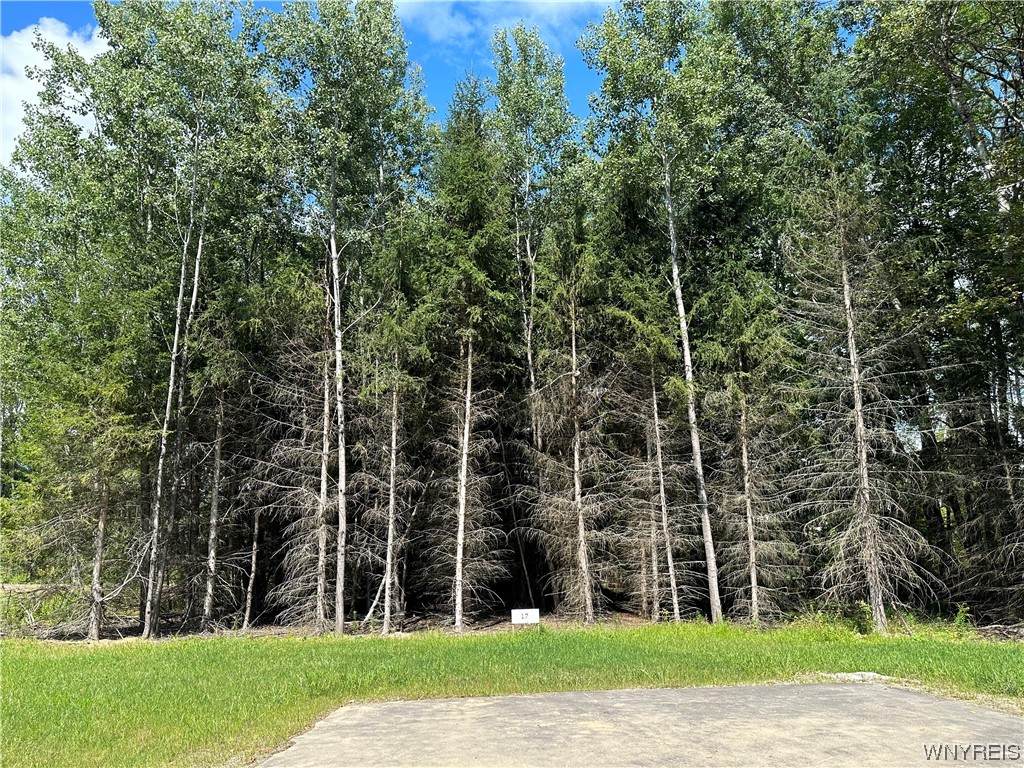 Lot 17 Tanglewood Development - Photo 1