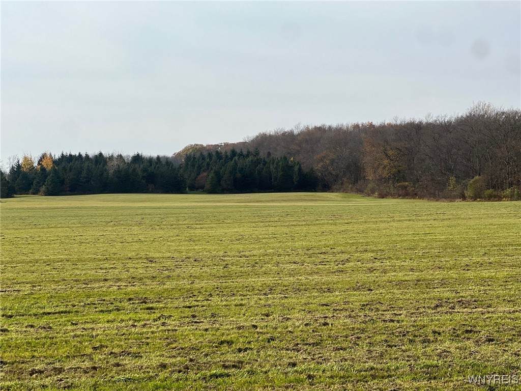 VL1 Davis Road - Photo 1