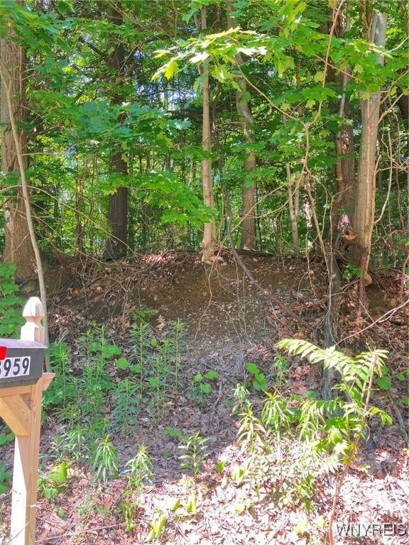 8978 Jennings Road - Photo 1