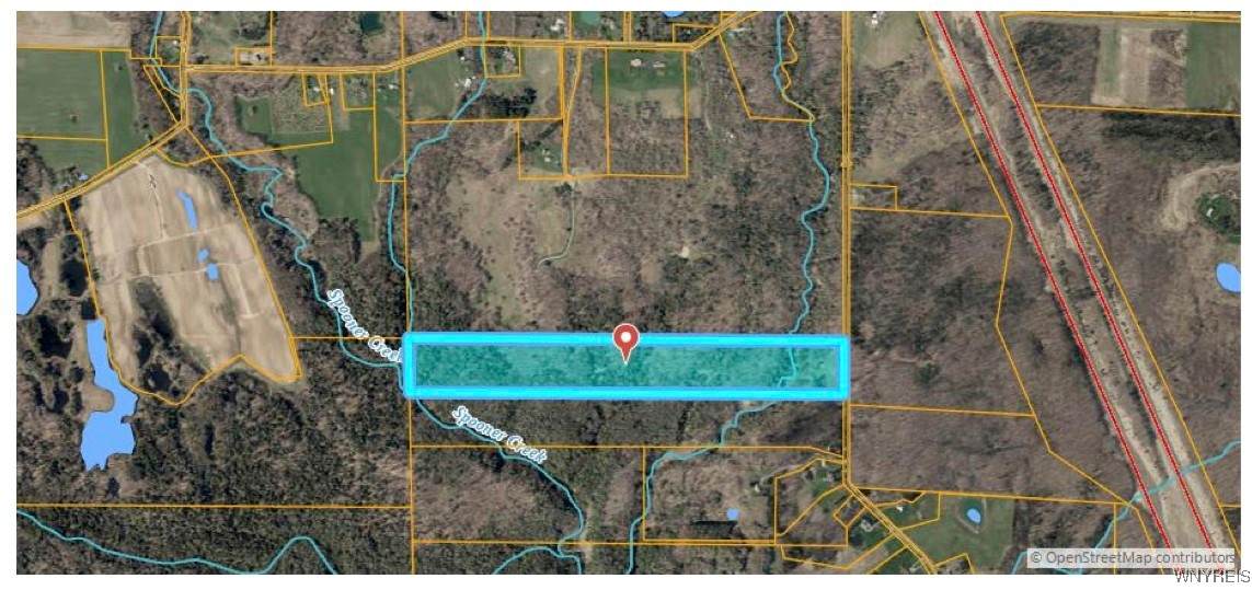 12826 Belscher Road - Photo 1