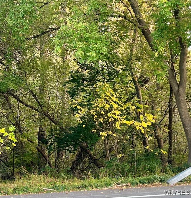 3568 Lake Road - Photo 1