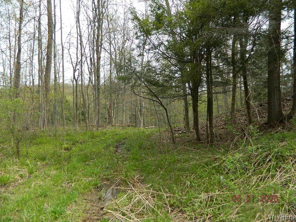 9999 Olean Road - Photo 1
