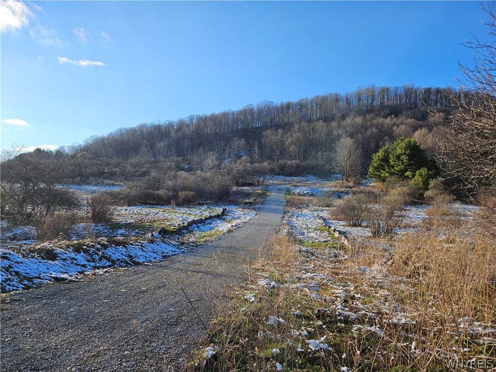 6048 Nys Rte 242 E - Photo 1