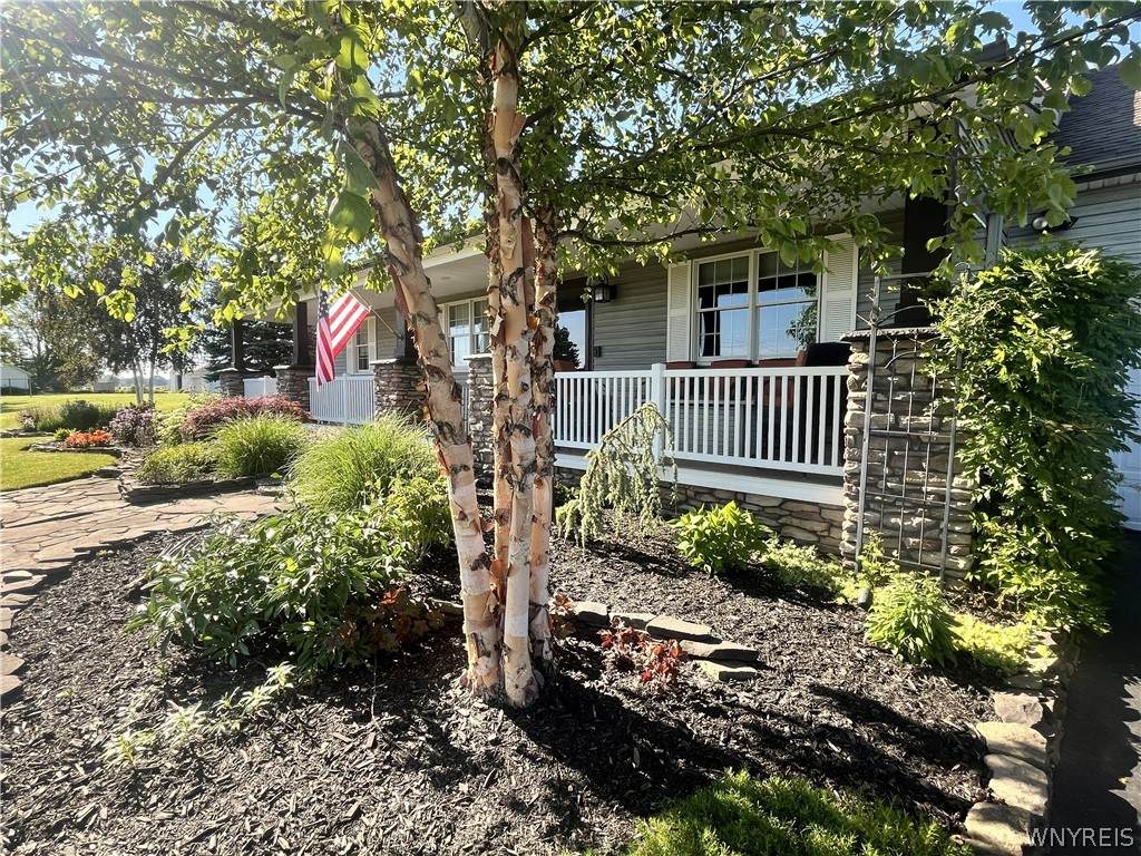 3212 Lockport Road - Photo 1