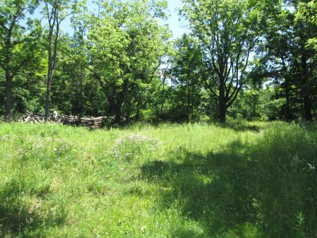 0 Co Road 16 - Photo 1