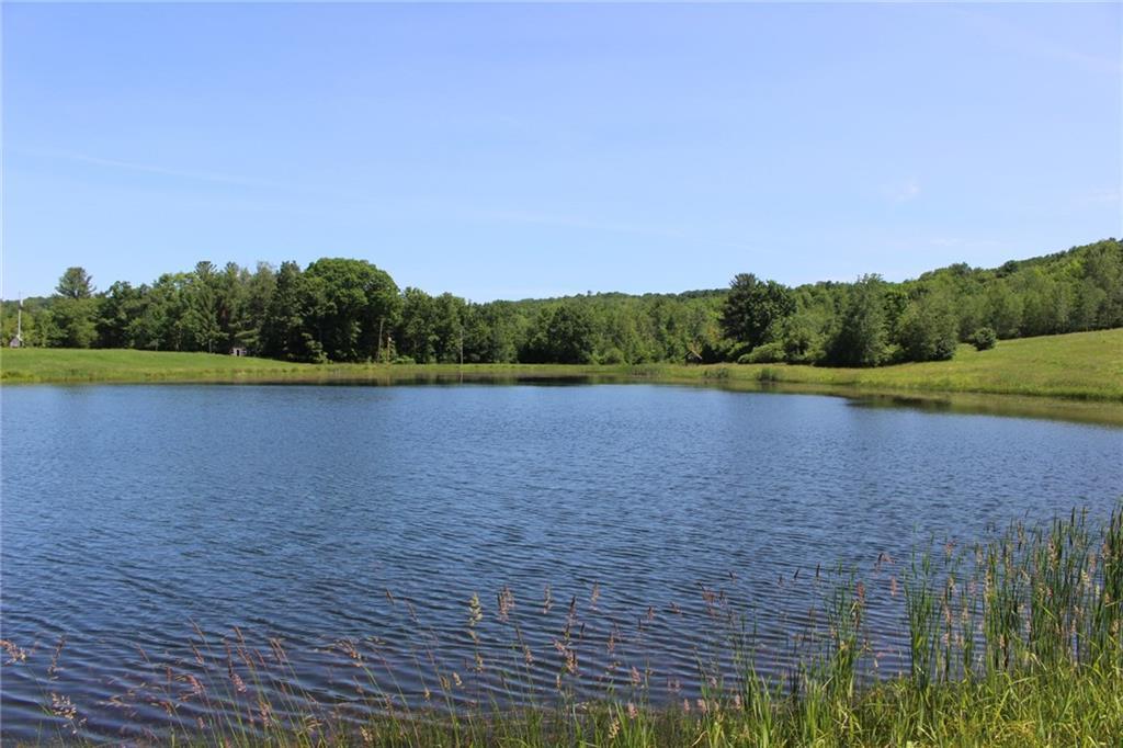 6009 Hubbard Road - Photo 1