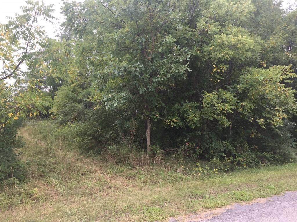 0 Smith Vineyard Road - Photo 1