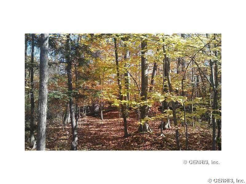 45 Shorewood Trail - Photo 1