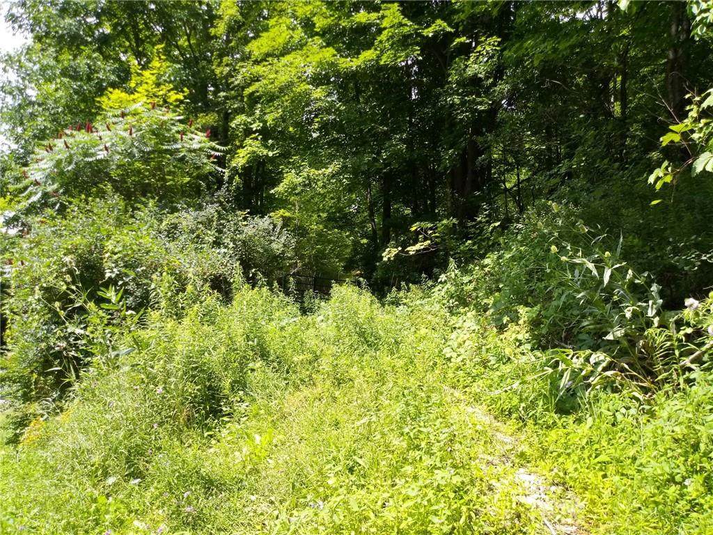 0 Indian Creek Road - Photo 1