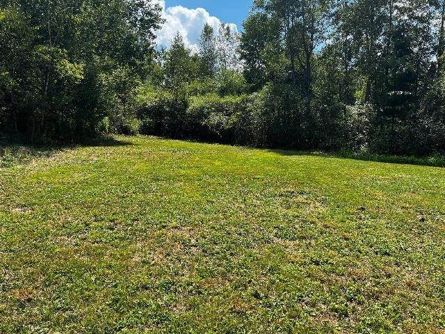 1471 Prentisvale Road - Photo 1