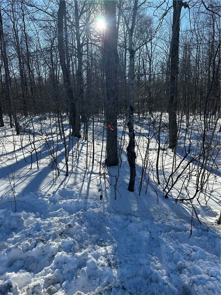 00 Mt Tom Road - Photo 1