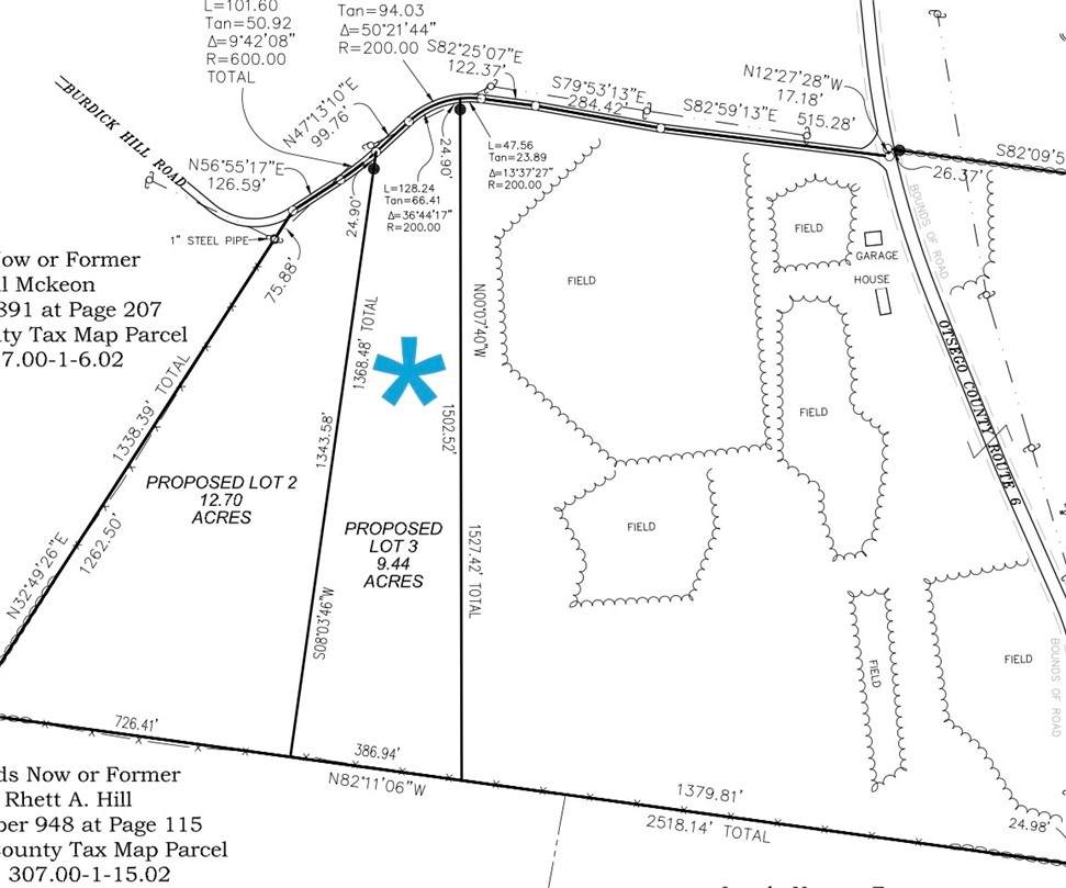 Lot 3 Burdick Hill Road - Photo 1