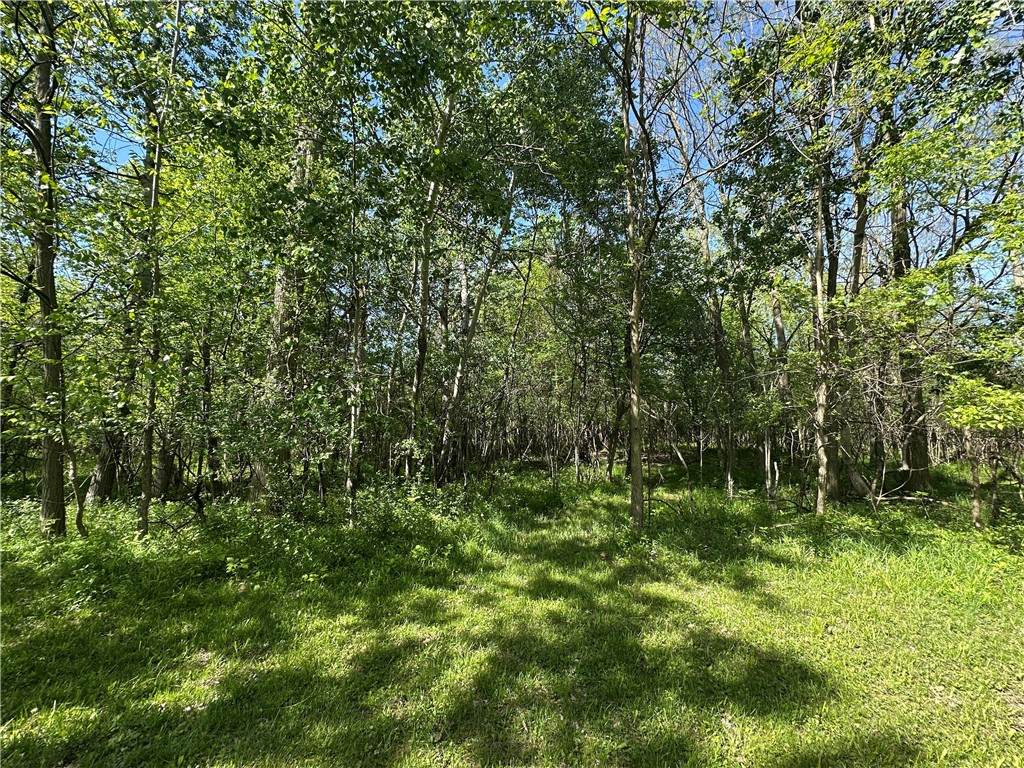  Greenfield Parkway - Photo 1