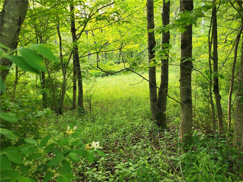 Lot 14.1 Joe Road - Photo 1