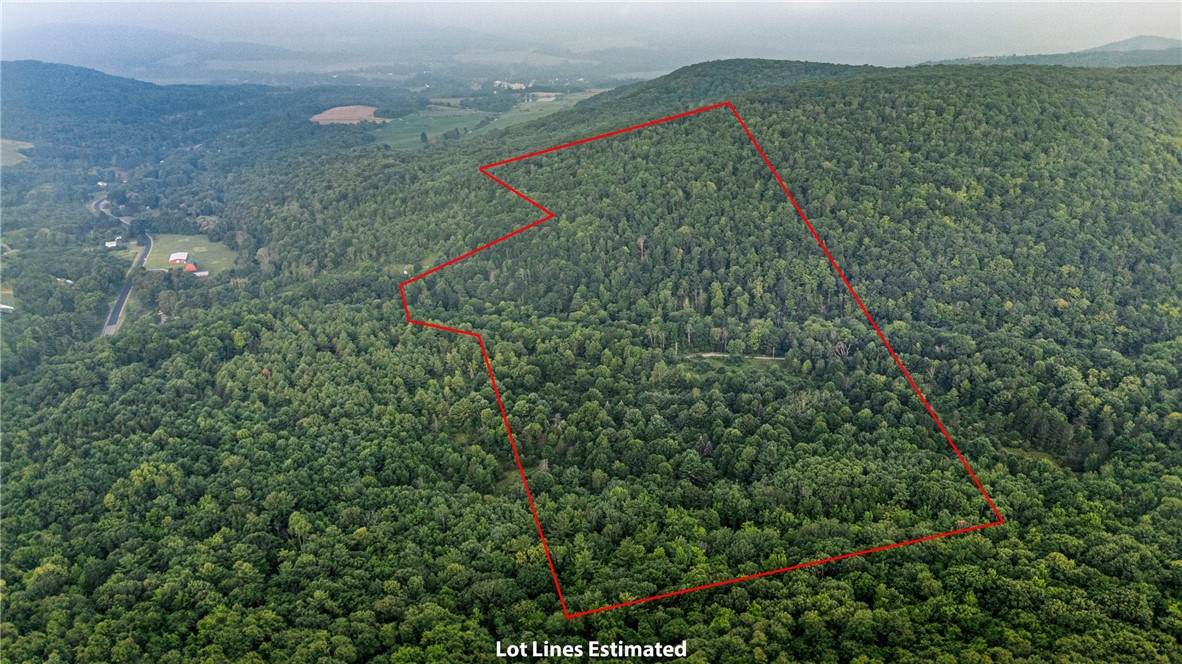 0 Ruttin Rd Road - Photo 1