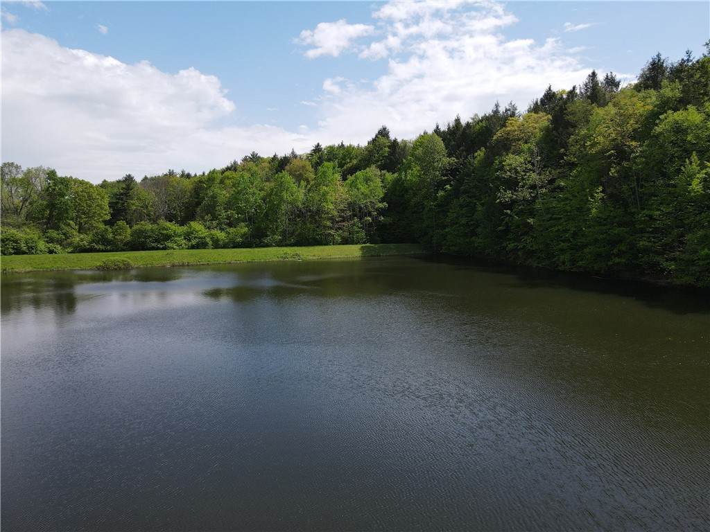 VL Lot 1 Hardscrabble Road - Photo 1