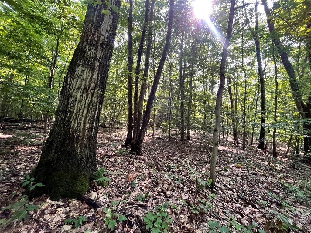 503 Centerville Road - Photo 1