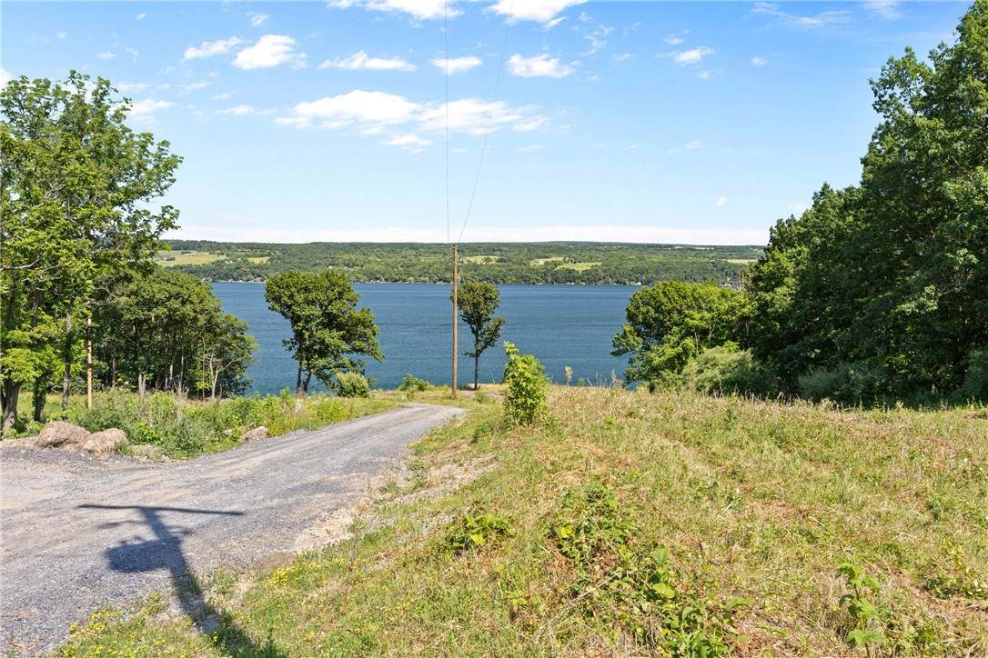 5 Red Cedar Falls Lane - Photo 1