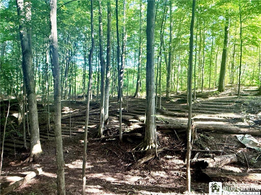 4261 Gerry Levant Road - Photo 1