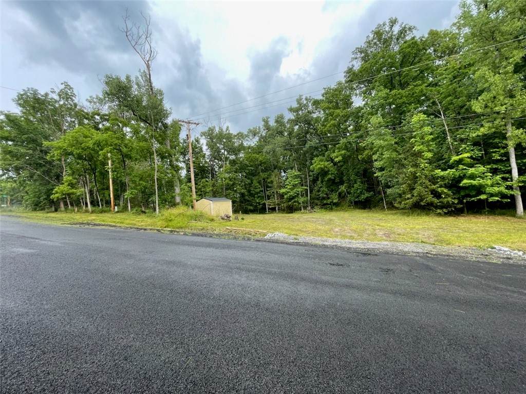 0 Vine Valley Road - Photo 1